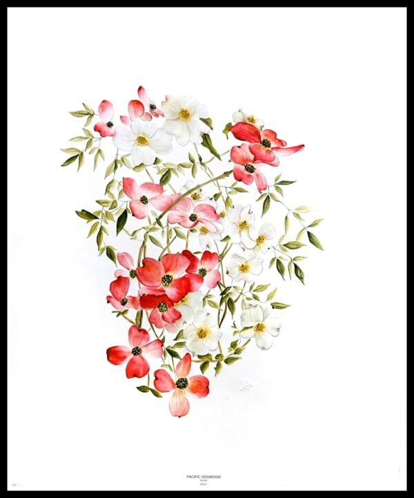 HP G-102 La Douceur de Vivre